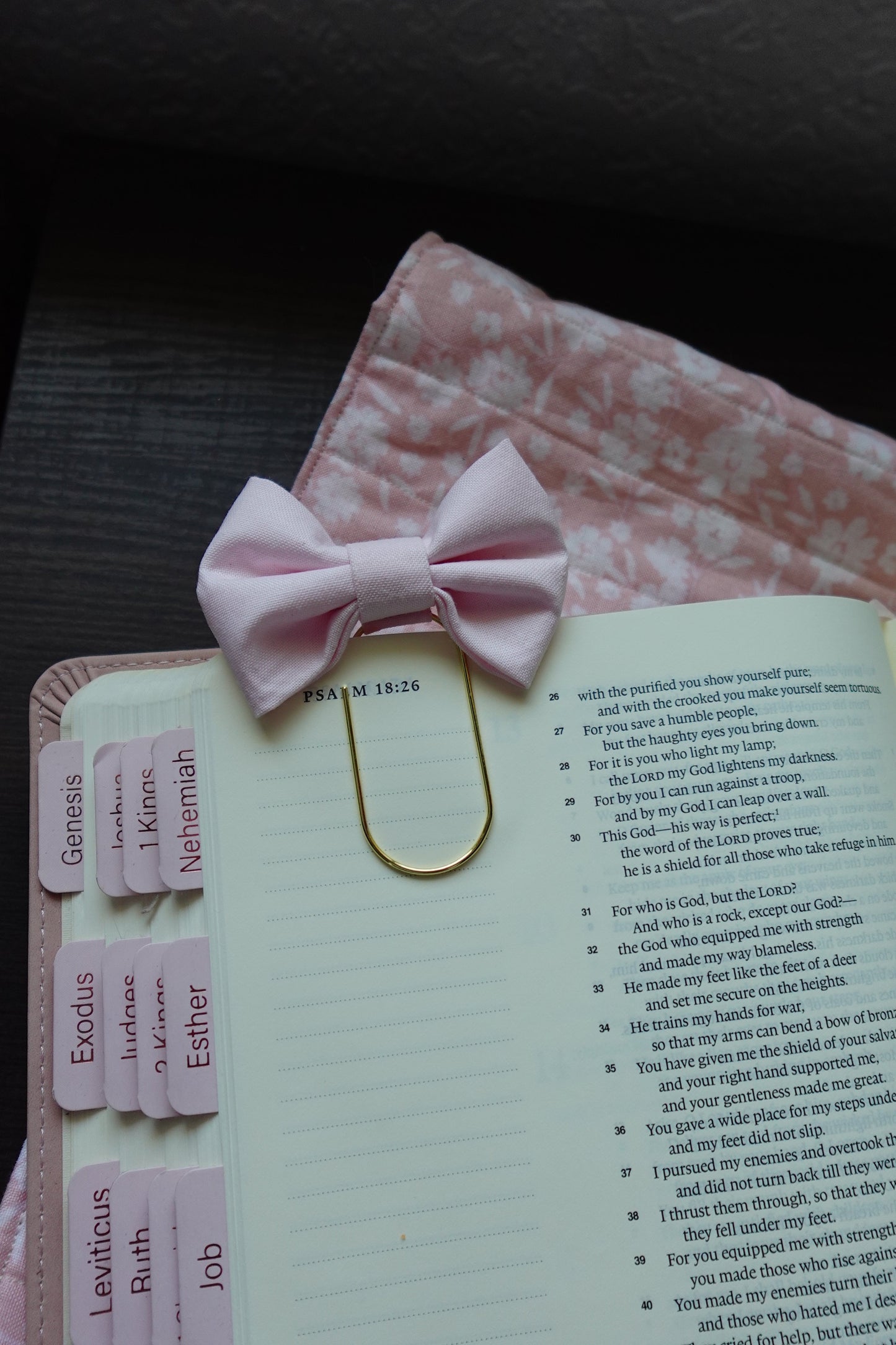 Pink Bible Bow Bookmark
