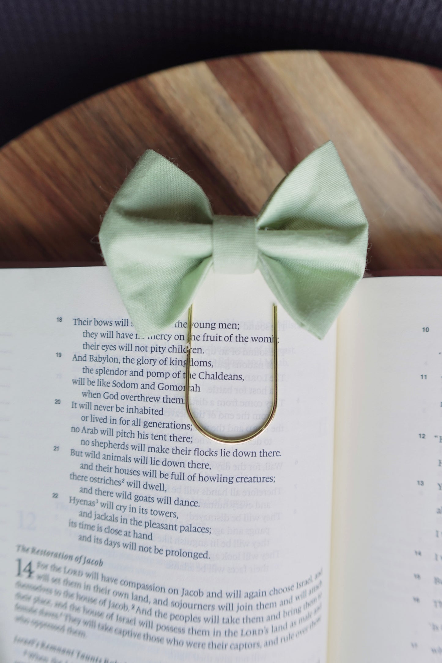 Green Bible Bow Bookmark