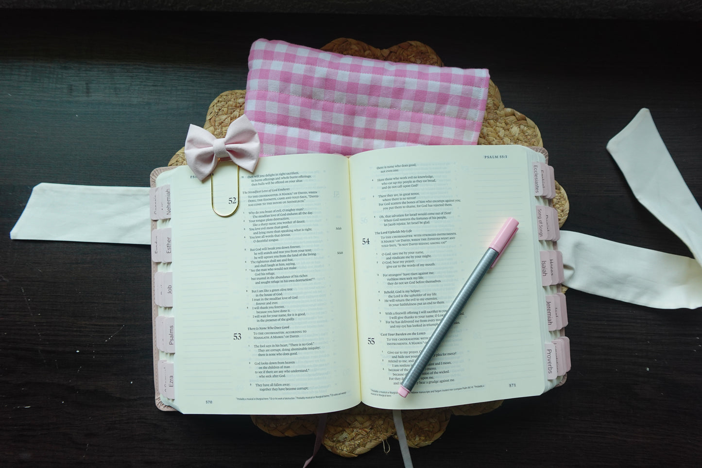 Gingham Grace Bible Sleeve