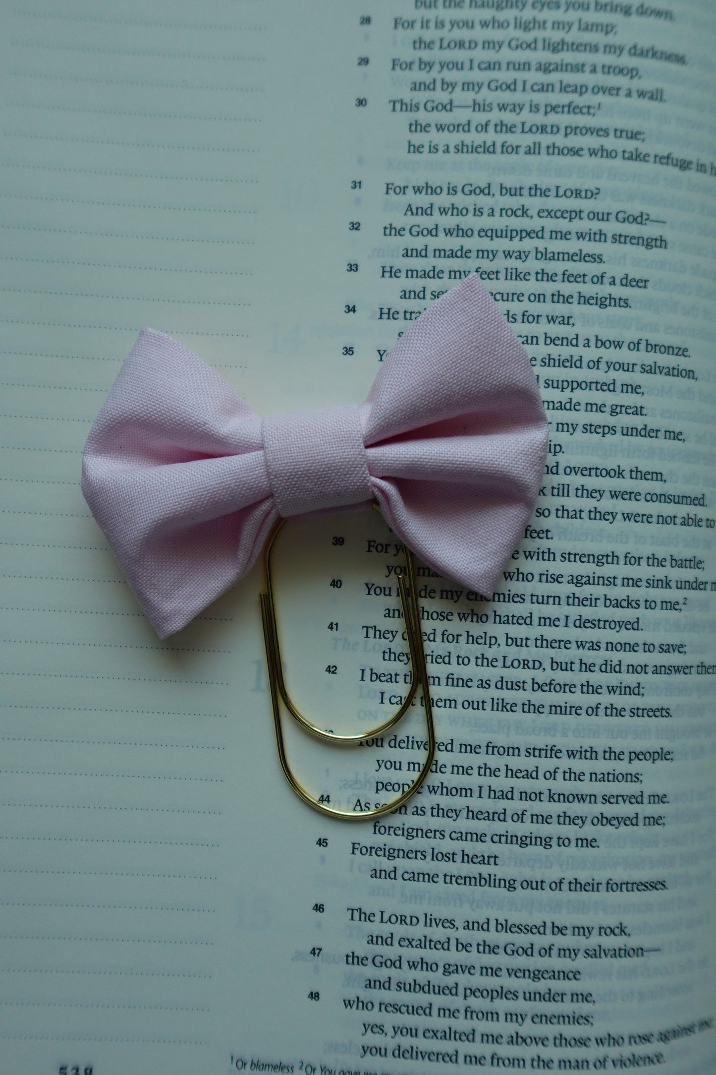 Pink Bible Bow Bookmark