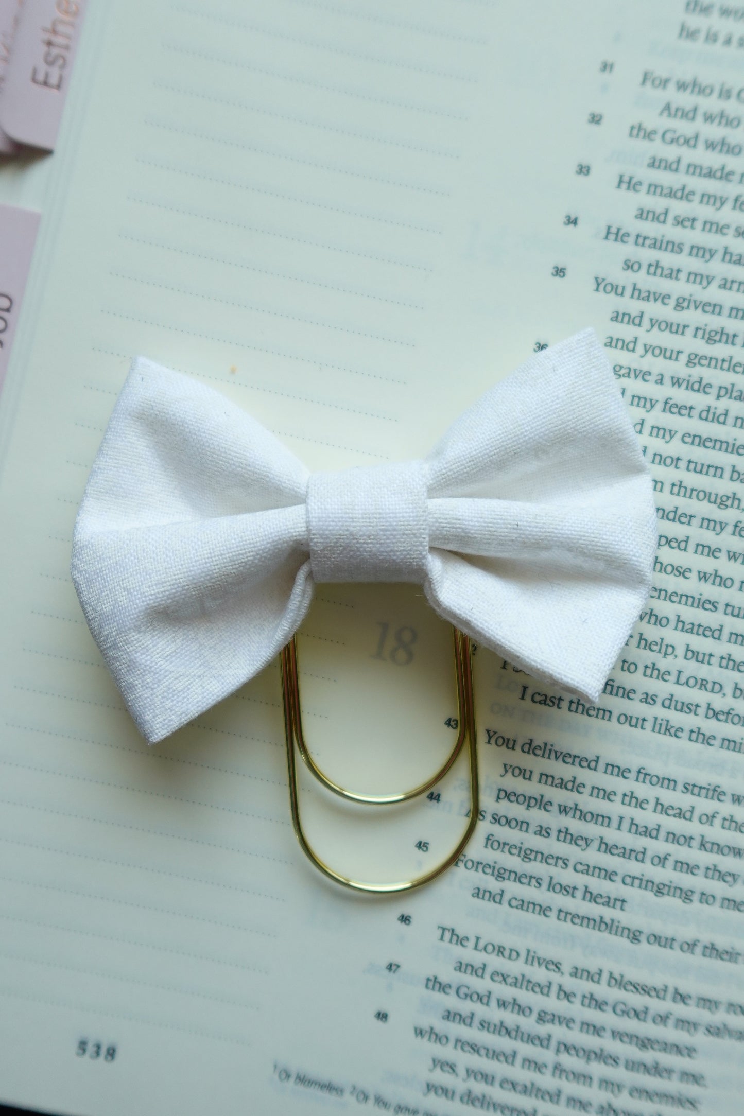 White Bible Bow Bookmark