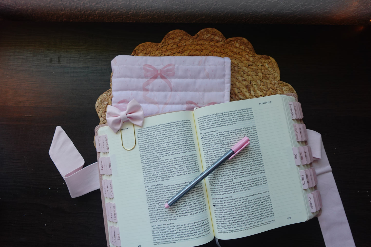 Pink Praise Bible Sleeve