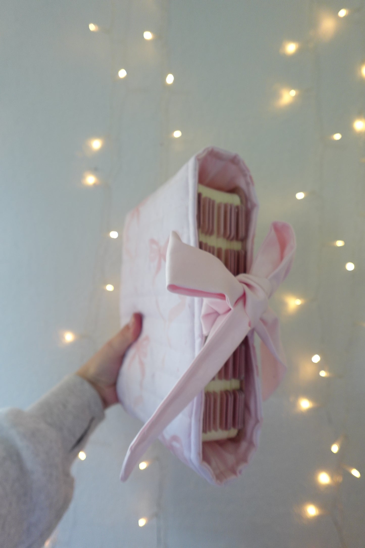 Pink Praise Bible Sleeve