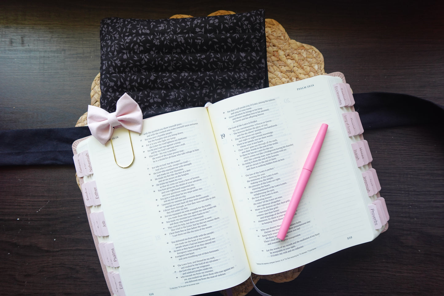 Divine Darkness Bible Sleeve